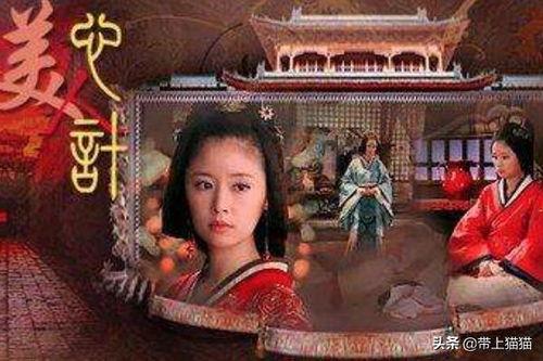 关于宫廷的电视剧,权谋与爱恨的华丽对决