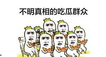 娱乐之星吃瓜群众是谁啊